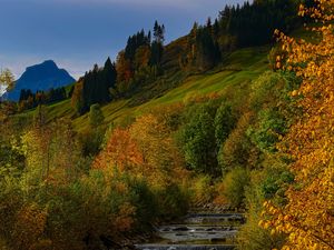 Preview wallpaper river, trees, autumn, stream