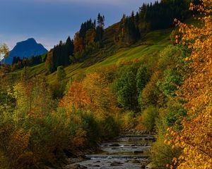 Preview wallpaper river, trees, autumn, stream