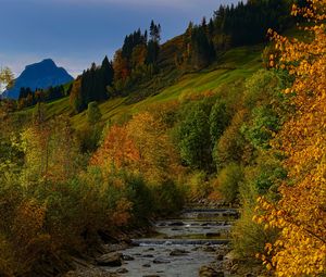 Preview wallpaper river, trees, autumn, stream