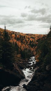 Preview wallpaper river, trees, autumn, stones, stream