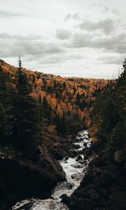 Preview wallpaper river, trees, autumn, stones, stream