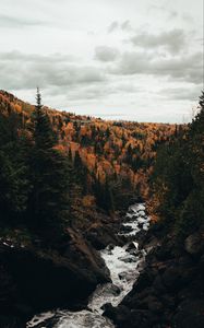 Preview wallpaper river, trees, autumn, stones, stream