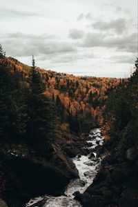 Preview wallpaper river, trees, autumn, stones, stream