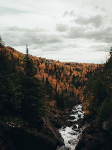 Preview wallpaper river, trees, autumn, stones, stream