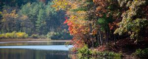 Preview wallpaper river, trees, autumn, branches reflection