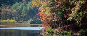 Preview wallpaper river, trees, autumn, branches reflection