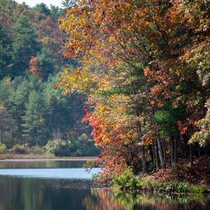 Preview wallpaper river, trees, autumn, branches reflection