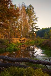 Preview wallpaper river, trees, autumn, landscape
