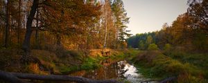 Preview wallpaper river, trees, autumn, landscape