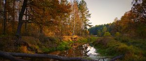 Preview wallpaper river, trees, autumn, landscape