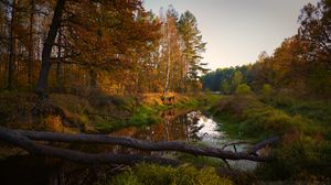 Preview wallpaper river, trees, autumn, landscape