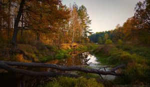 Preview wallpaper river, trees, autumn, landscape