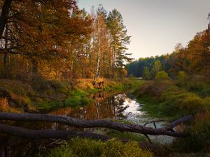 Preview wallpaper river, trees, autumn, landscape