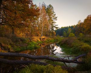 Preview wallpaper river, trees, autumn, landscape