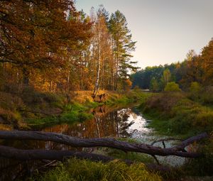 Preview wallpaper river, trees, autumn, landscape