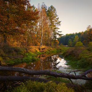 Preview wallpaper river, trees, autumn, landscape