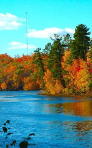 Preview wallpaper river, trees, autumn, for