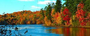 Preview wallpaper river, trees, autumn, for