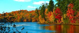 Preview wallpaper river, trees, autumn, for