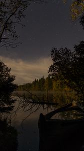 Preview wallpaper river, trees, branch, dry, night, nature