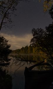 Preview wallpaper river, trees, branch, dry, night, nature