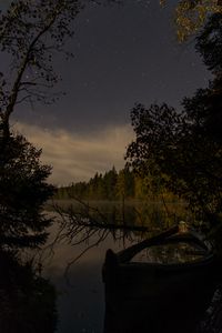 Preview wallpaper river, trees, branch, dry, night, nature