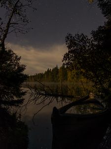 Preview wallpaper river, trees, branch, dry, night, nature