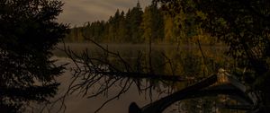 Preview wallpaper river, trees, branch, dry, night, nature