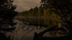 Preview wallpaper river, trees, branch, dry, night, nature