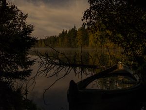 Preview wallpaper river, trees, branch, dry, night, nature