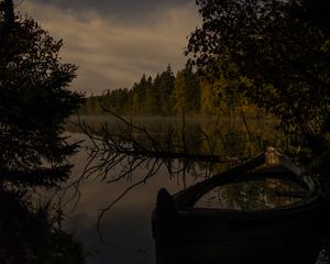 Preview wallpaper river, trees, branch, dry, night, nature