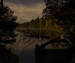 Preview wallpaper river, trees, branch, dry, night, nature