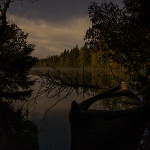 Preview wallpaper river, trees, branch, dry, night, nature