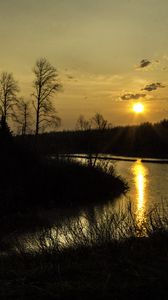 Preview wallpaper river, trees, branches, sunset, nature