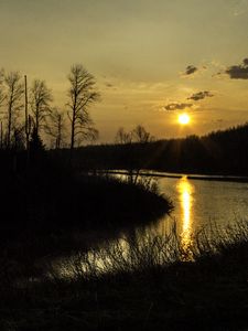 Preview wallpaper river, trees, branches, sunset, nature