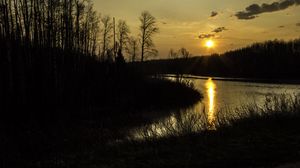 Preview wallpaper river, trees, branches, sunset, nature