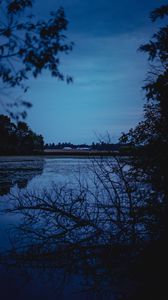 Preview wallpaper river, trees, branches, evening