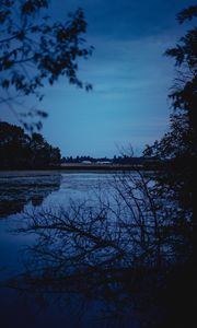 Preview wallpaper river, trees, branches, evening
