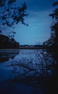 Preview wallpaper river, trees, branches, evening