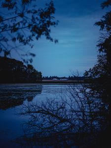 Preview wallpaper river, trees, branches, evening