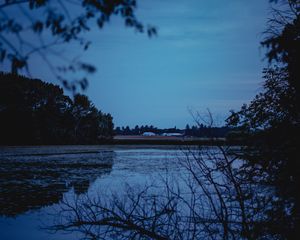 Preview wallpaper river, trees, branches, evening