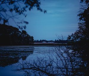 Preview wallpaper river, trees, branches, evening