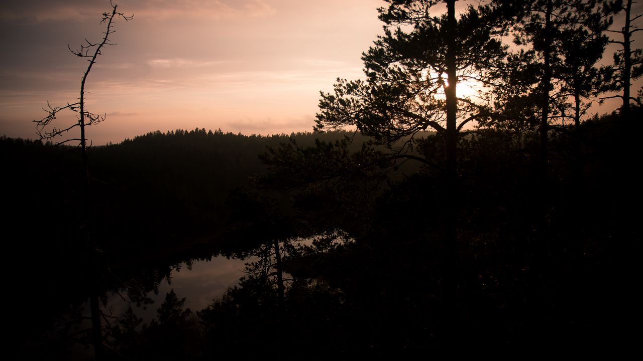 Wallpaper river, trees, branches, silhouettes, evening, nature