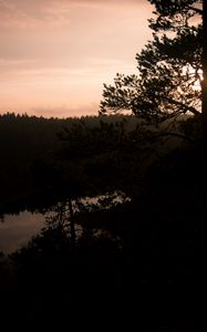 Preview wallpaper river, trees, branches, silhouettes, evening, nature