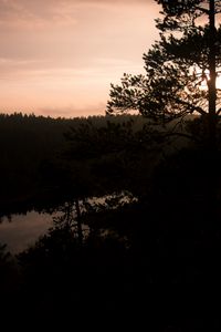 Preview wallpaper river, trees, branches, silhouettes, evening, nature