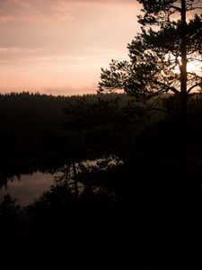 Preview wallpaper river, trees, branches, silhouettes, evening, nature