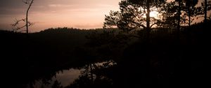 Preview wallpaper river, trees, branches, silhouettes, evening, nature