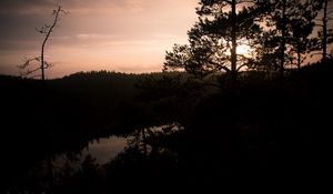Preview wallpaper river, trees, branches, silhouettes, evening, nature