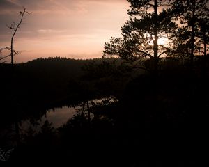 Preview wallpaper river, trees, branches, silhouettes, evening, nature
