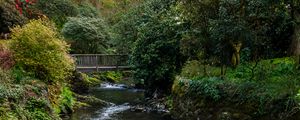 Preview wallpaper river, trees, bridge, nature